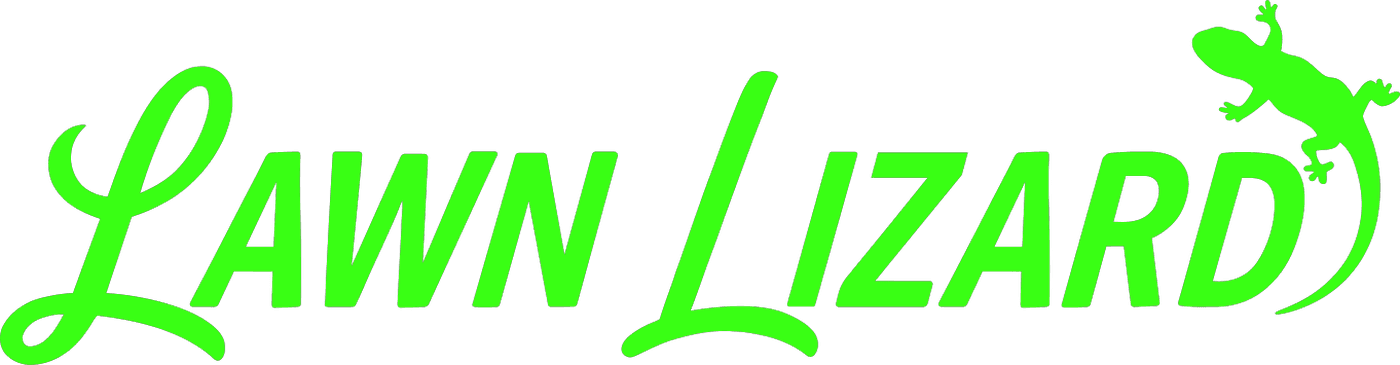 Lawn Lizard